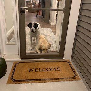 Meet your Posher, Connie